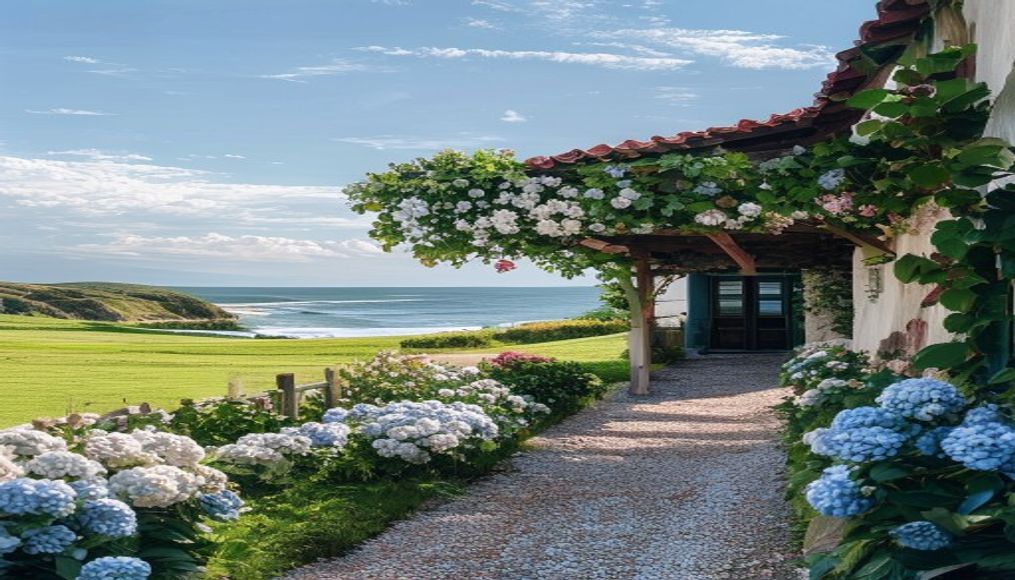 Jardin avec vue océan